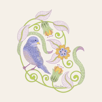 pajaro jardin video bonaeva